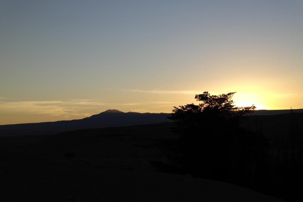 Complejo Turistico El Toconar Villa Toconao Buitenkant foto