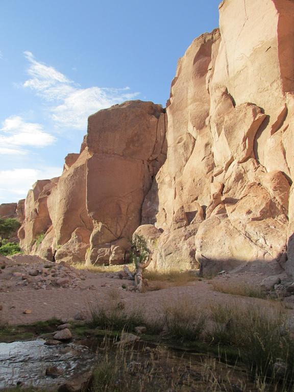 Complejo Turistico El Toconar Villa Toconao Buitenkant foto